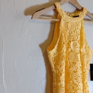 NWT Love Poem Lace Dress